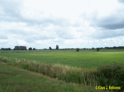 Egbertsgaasten 2008