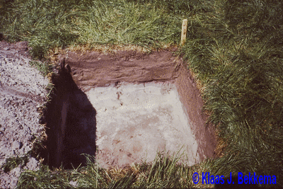 Egbertsgaasten proefput 1989